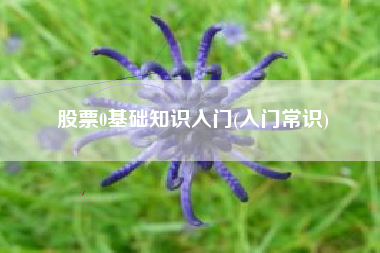 股票0基础知识入门(入门常识)