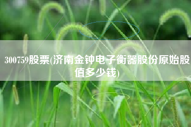 300759股票(济南金钟电子衡器股份原始股值多少钱)