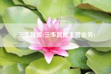三丰智能(三丰智能主营业务)