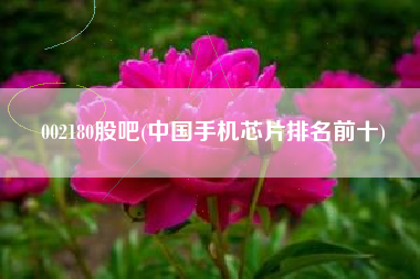 002180股吧(中国手机芯片排名前十)