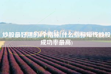 炒股最好用的6个指标(什么指标短线炒股成功率最高)