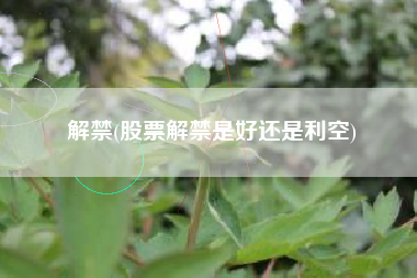 解禁(股票解禁是好还是利空)
