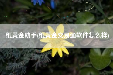 纸黄金助手(纸黄金交易通软件怎么样)