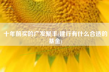 十年前买的广发聚丰(建行有什么合适的基金)