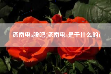 深南电a股吧(深南电a是干什么的)