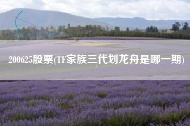 200625股票(TF家族三代划龙舟是哪一期)