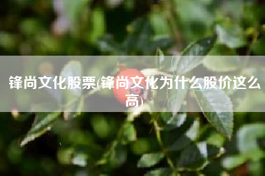 锋尚文化股票(锋尚文化为什么股价这么高)