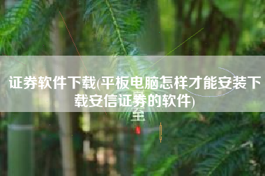 证券软件下载(平板电脑怎样才能安装下载安信证券的软件)