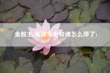 金股王(张清华金股通怎么停了)