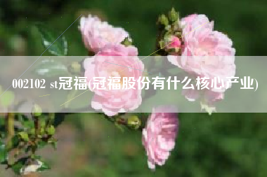 002102 st冠福(冠福股份有什么核心产业)