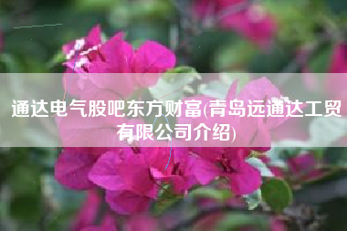 通达电气股吧东方财富(青岛远通达工贸有限公司介绍)