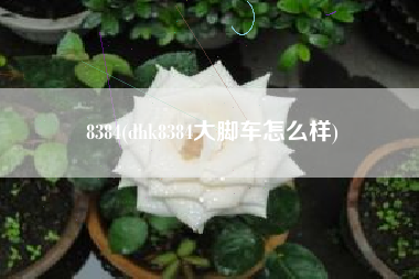 8384(dhk8384大脚车怎么样)