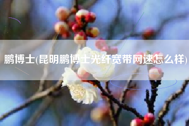 鹏博士(昆明鹏博士光纤宽带网速怎么样)