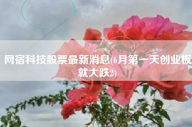 网宿科技股票最新消息(6月第一天创业板就大跌2)
