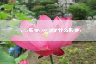 002589股票(000489是什么股票)