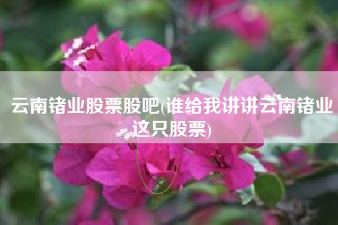 云南锗业股票股吧(谁给我讲讲云南锗业这只股票)