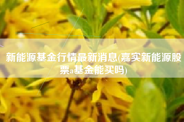 新能源基金行情最新消息(嘉实新能源股票a基金能买吗)