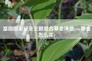富国国家安全主题混合基金净值(etc基金怎么买)