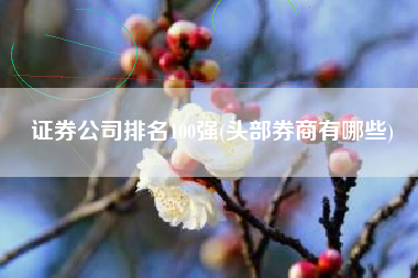 证券公司排名100强(头部券商有哪些)
