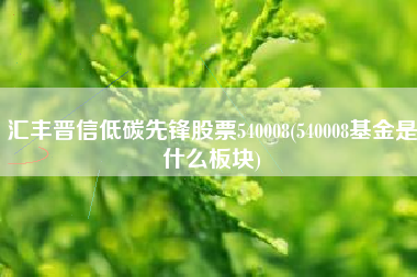 汇丰晋信低碳先锋股票540008(540008基金是什么板块)
