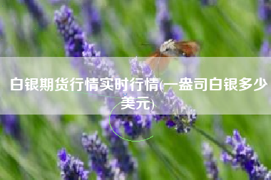 白银期货行情实时行情(一盎司白银多少美元)