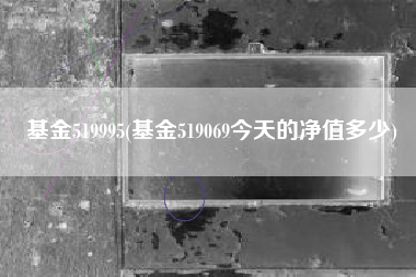 基金519995(基金519069今天的净值多少)