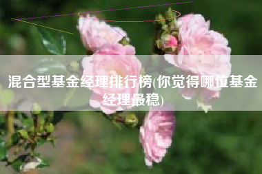 混合型基金经理排行榜(你觉得哪位基金经理最稳)