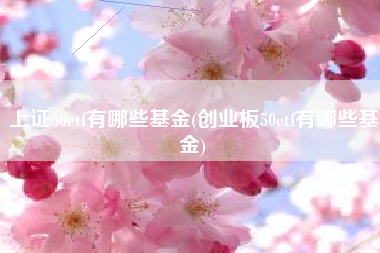 上证50etf有哪些基金(创业板50etf有哪些基金)
