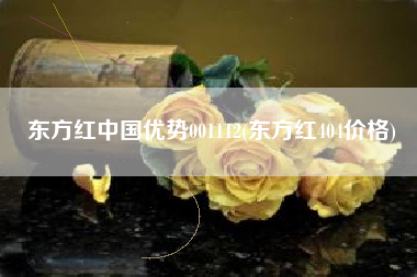 东方红中国优势001112(东方红404价格)