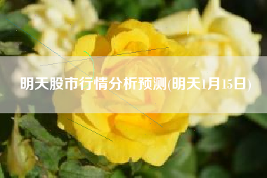 明天股市行情分析预测(明天1月15日)