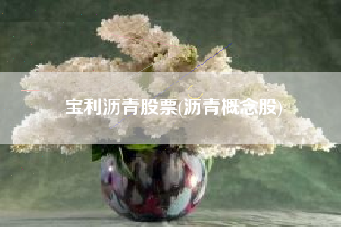 宝利沥青股票(沥青概念股)