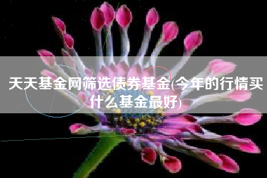 天天基金网筛选债券基金(今年的行情买什么基金最好)