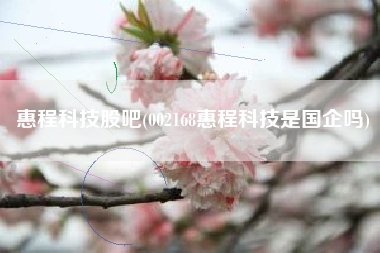 惠程科技股吧(002168惠程科技是国企吗)