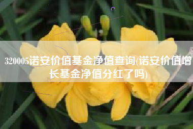 320005诺安价值基金净值查询(诺安价值增长基金净值分红了吗)