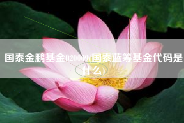 国泰金鹏基金020009(国泰蓝筹基金代码是什么)