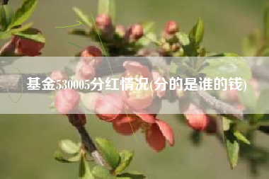 基金530005分红情况(分的是谁的钱)