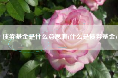 债券基金是什么意思啊(什么是债券基金)