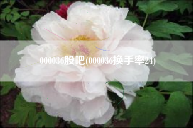 000036股吧(000036换手率24)