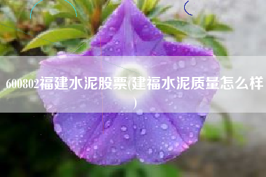 600802福建水泥股票(建福水泥质量怎么样)