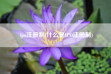 ipo注册制(什么是IPO注册制)