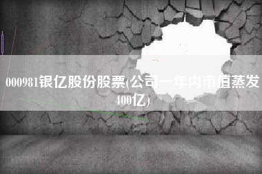 000981银亿股份股票(公司一年内市值蒸发400亿)
