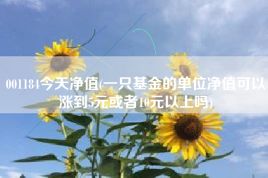 001184今天净值(一只基金的单位净值可以涨到5元或者10元以上吗)