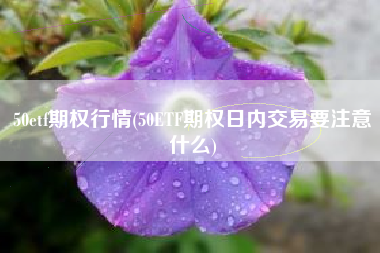 50etf期权行情(50ETF期权日内交易要注意什么)