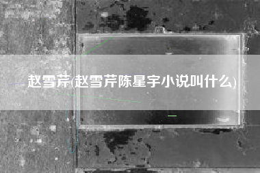赵雪芹(赵雪芹陈星宇小说叫什么)