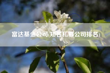 富达基金公司(知名私募公司排名)
