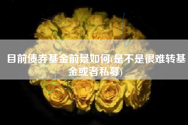 目前债券基金前景如何(是不是很难转基金或者私募)