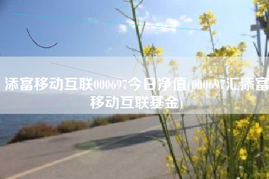 添富移动互联000697今日净值(000697汇添富移动互联基金)