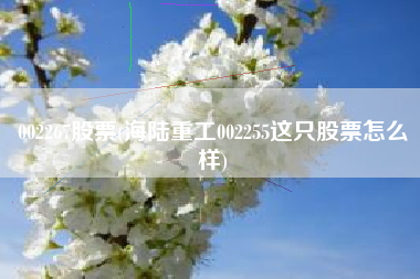 002267股票(海陆重工002255这只股票怎么样)