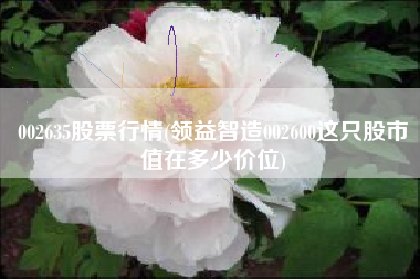 002635股票行情(领益智造002600这只股市值在多少价位)
