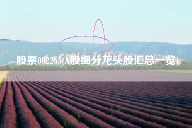 股票002265(A股细分龙头股汇总一览)